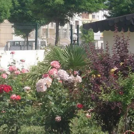 Erdogan Ege Manisa